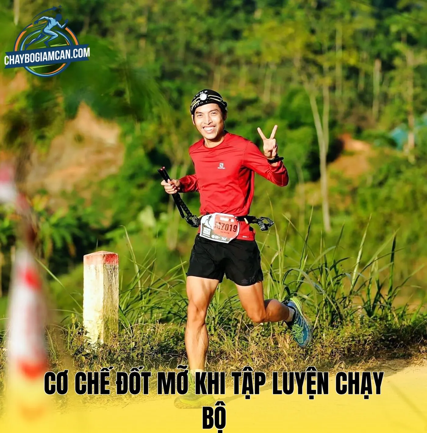 Cơ chế đốt mỡ khi tập luyện chạy bộ