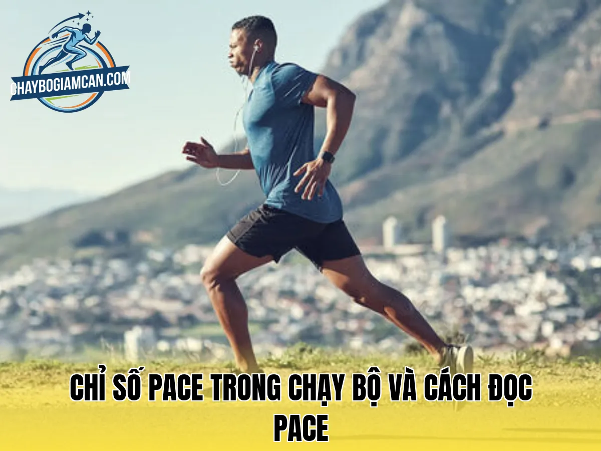 Chỉ số pace trong chạy bộ và cách đọc pace
