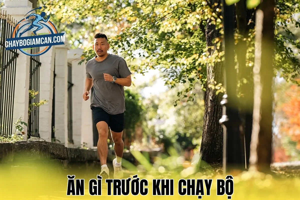 Ăn Gì Trước Khi Chạy Bộ