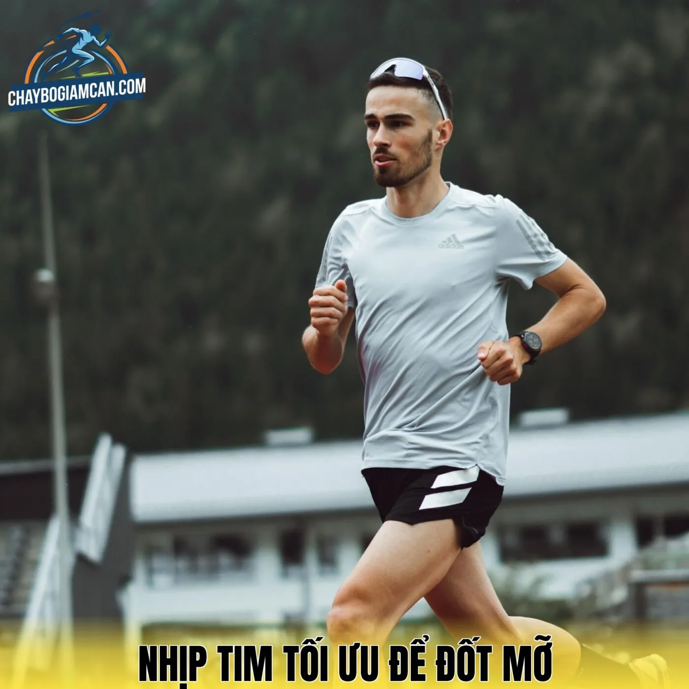 Nhịp Tim Tối Ưu Để Đốt Mỡ