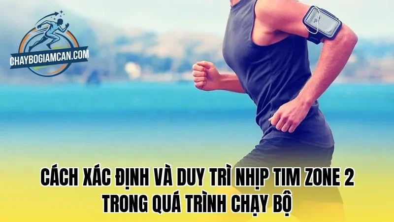 Cách xác định và duy trì nhịp tim Zone 2 trong quá trình chạy bộ