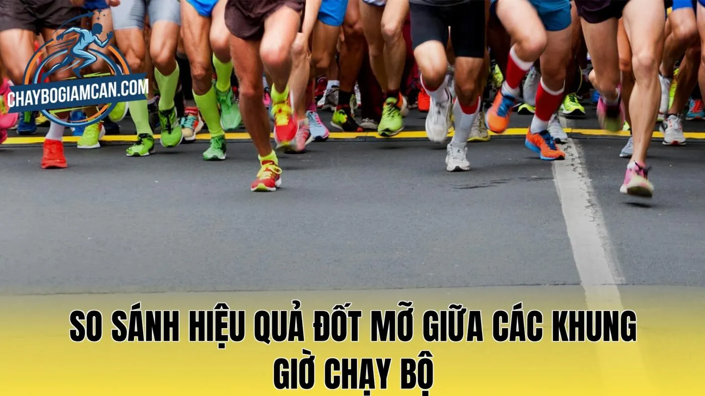 So sánh hiệu quả đốt mỡ giữa các khung giờ chạy bộ