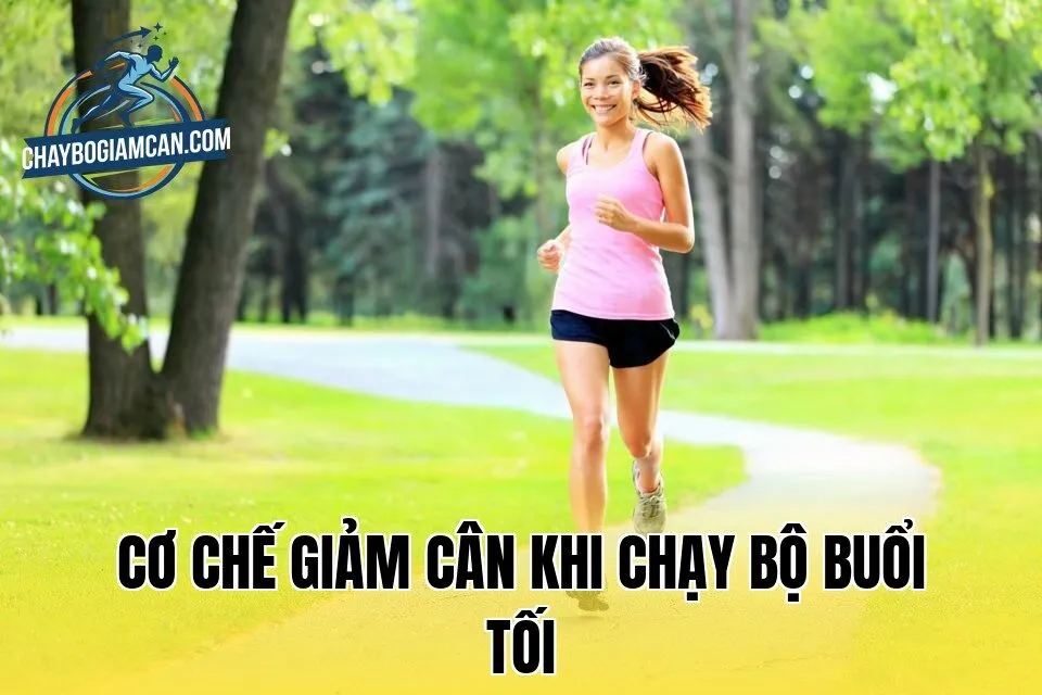 Cơ chế giảm cân khi chạy bộ buổi tối