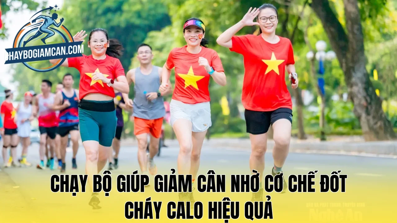Chạy bộ giúp giảm cân nhờ cơ chế đốt cháy calo hiệu quả