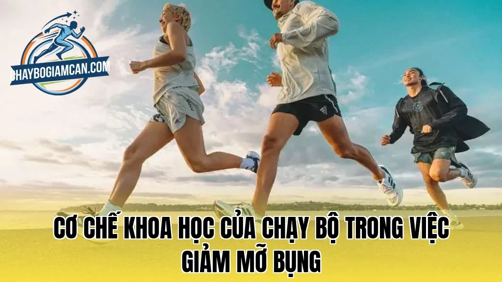Cơ chế khoa học của chạy bộ trong việc giảm mỡ bụng