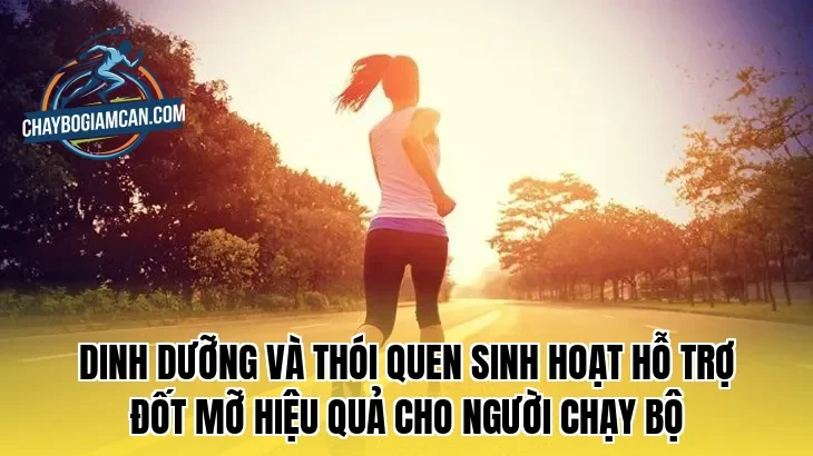 Dinh dưỡng và thói quen sinh hoạt hỗ trợ đốt mỡ hiệu quả cho người chạy bộ