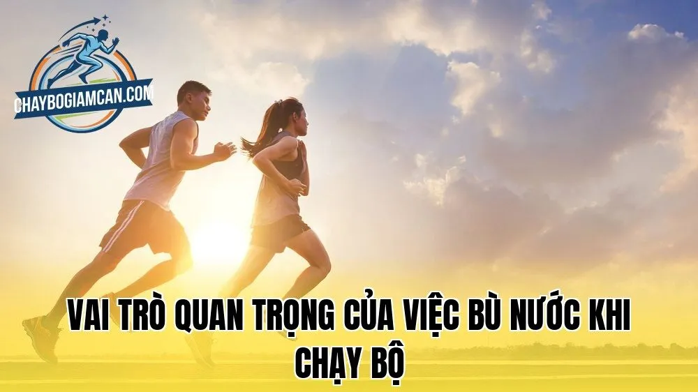 Vai trò quan trọng của việc bù nước khi chạy bộ