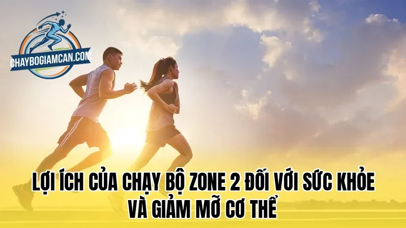 Lợi ích của chạy bộ Zone 2 đối với sức khỏe và giảm mỡ cơ thể