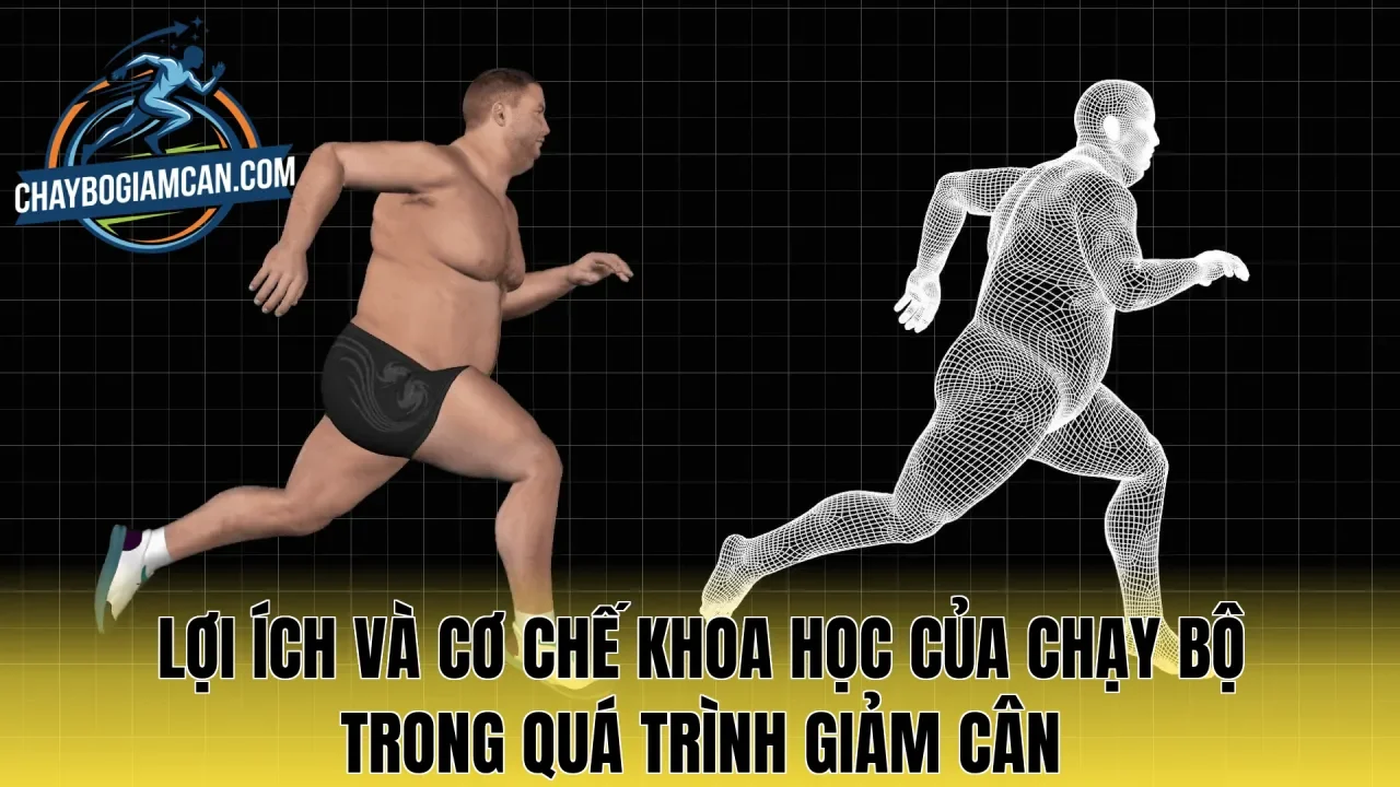 Lợi ích và cơ chế khoa học của chạy bộ trong quá trình giảm cân