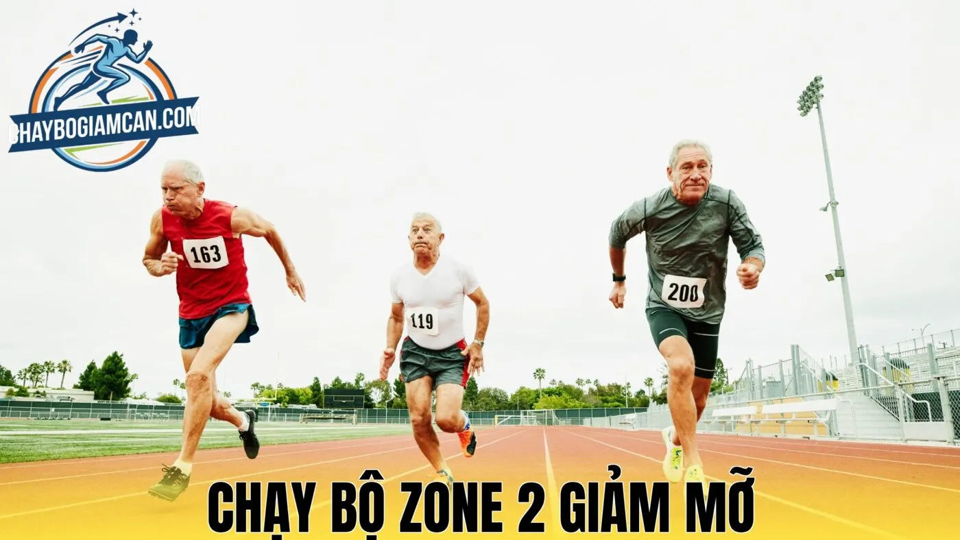 Chạy Bộ Zone 2 Giảm Mỡ