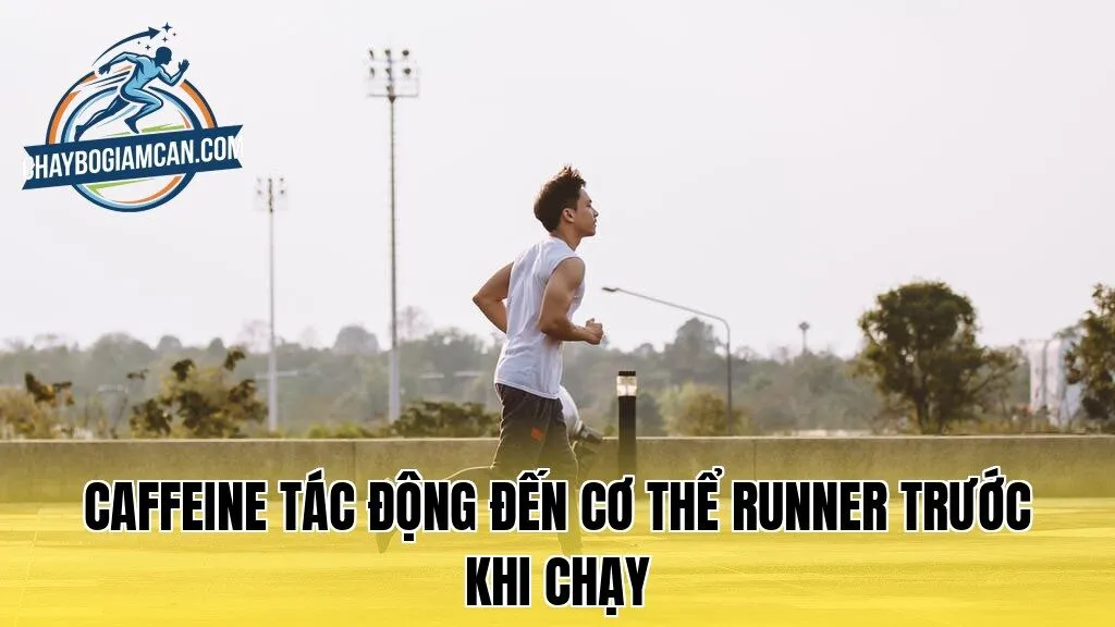 Caffeine tác động đến cơ thể runner trước khi chạy