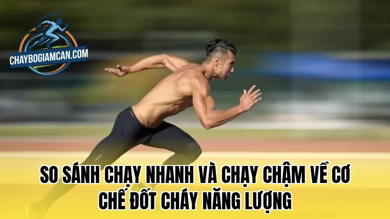 So sánh chạy nhanh và chạy chậm về cơ chế đốt cháy năng lượng