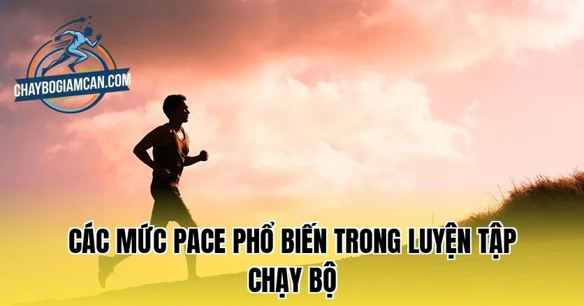 Các mức pace phổ biến trong luyện tập chạy bộ