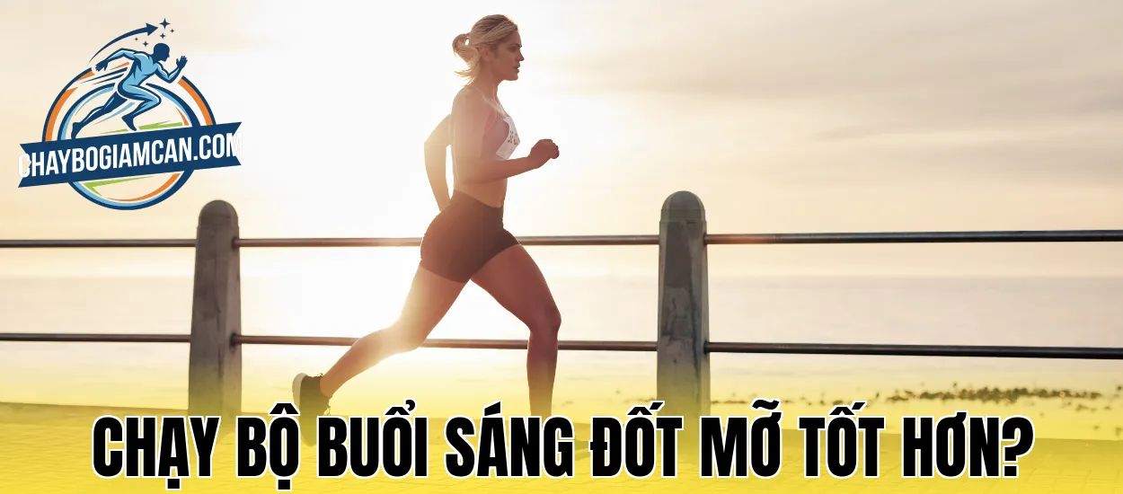 Chạy Bộ Buổi Sáng Đốt Mỡ Tốt Hơn?