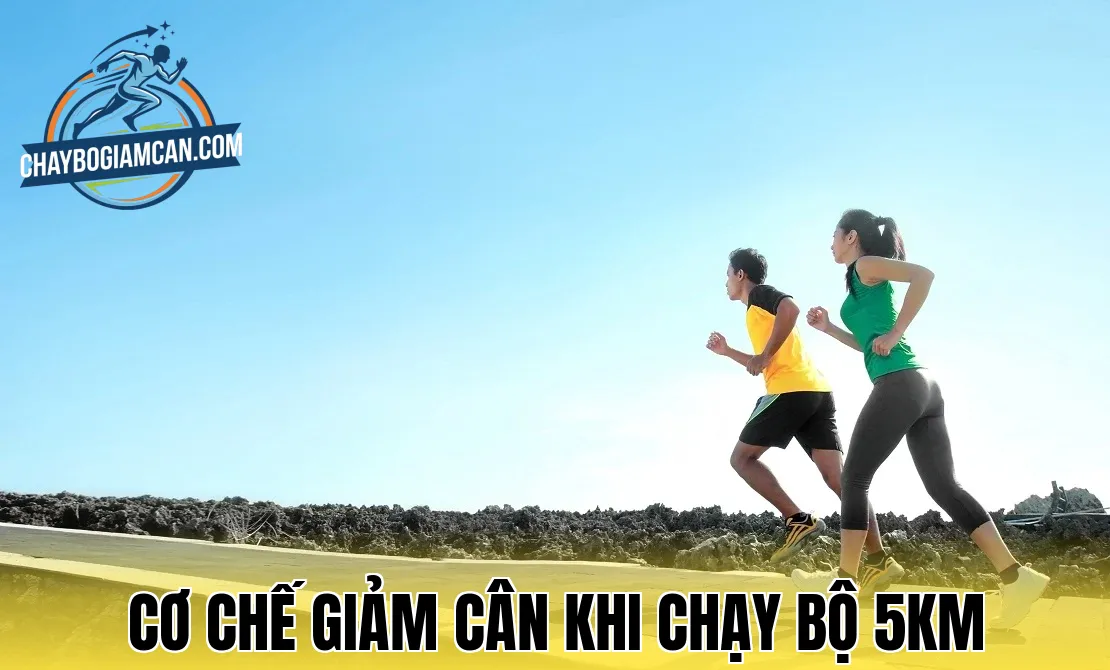 Cơ chế giảm cân khi chạy bộ 5km